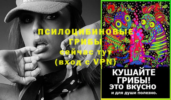 спиды Волоколамск