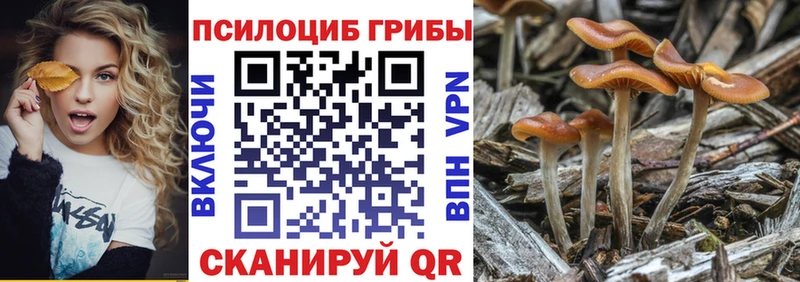 Купить где  Свирск  Галлюциногенные грибы Magic Shrooms 